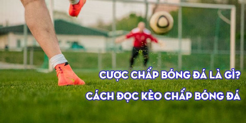 Kèo chấp - tỷ lệ bóng đá nổi bật trong cá độ thể thao vua